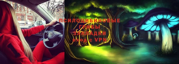 гидра Верхний Тагил