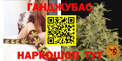 ешки Гатчина