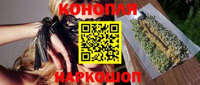 спайс Гай