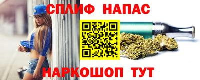 ешки Гатчина