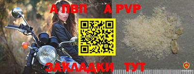 спайс Гай