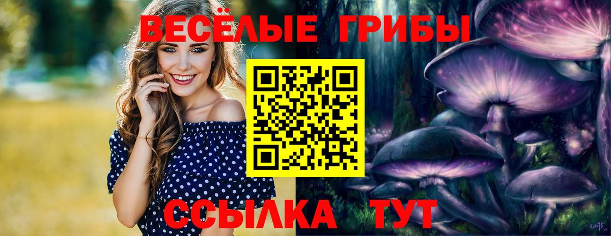 Мариинск  Псилоцибиновые грибы Psilocybine cubensis  Вход с VPN 